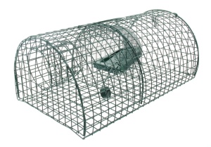 Rattenvangkooi Multirat, 40x24x18cm