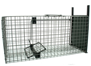Vangkooi gaas rat, 1 ingang, 50x20x20cm