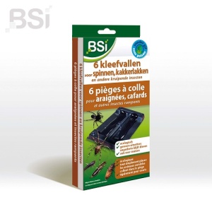 Kleefvallen tegen spinnen, 6st