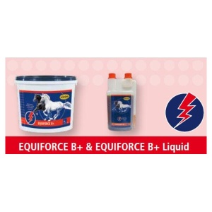 EQUIFORCE B+ (Liquid)