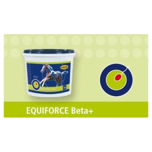 EQUIFORCE Beta+