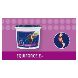 EQUIFORCE E+
