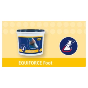 EQUIFORCE Foot