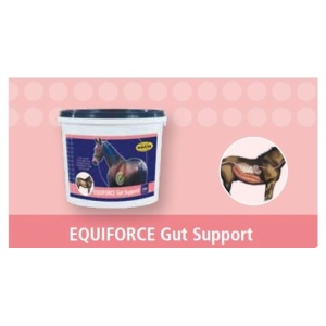 EQUIFORCE Gut Support