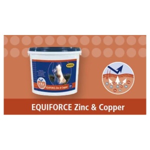 EQUIFORCE Zinc & Copper