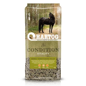 Hartog Condition