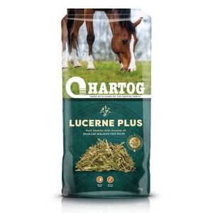 Hartog Lucerne Plus