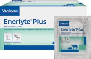 Enerlyte Plus 24x100g