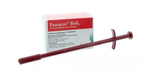 Ontworming schaap category