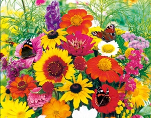 Vlindermengsel 250g