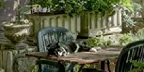 Terras en omgeving category