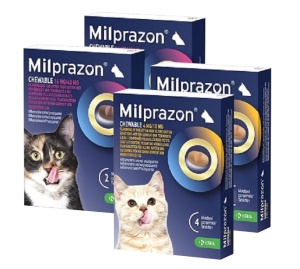 Milprazon worm kauwtabletten kat