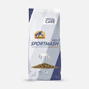 Sportmash Recup