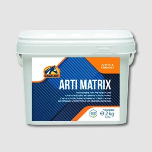 Arti Matrix