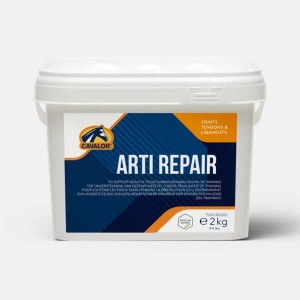 Arti Repair