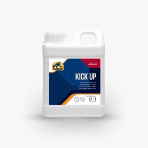 Kick Up