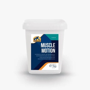 Muscle Motion