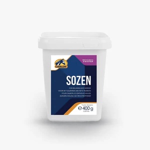 SoZen