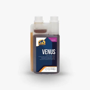 Venus
