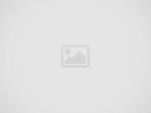 Kalveremmer transparant roze 8L