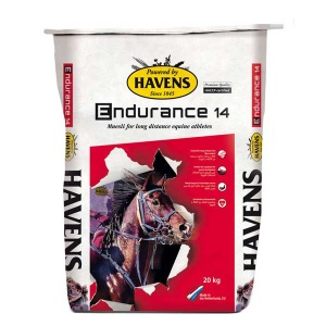 Endurance 14
