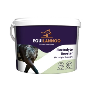 Electrolyte Booster