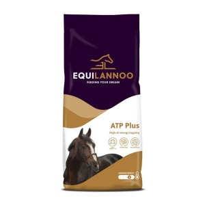 ATP Plus