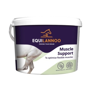 Muscle Support