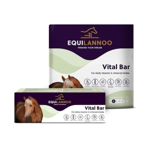 Vital Bar