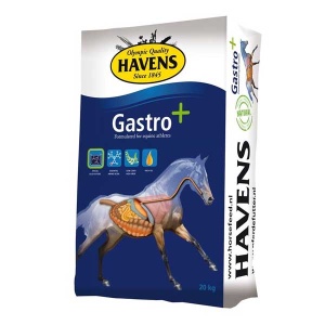 Gastro+