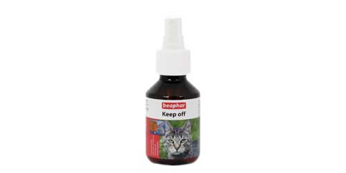 Kat en Hond category