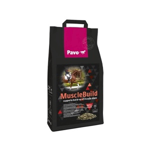 MuscleBuild 3 kg Refill