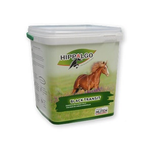 Hippalgo Black Transit